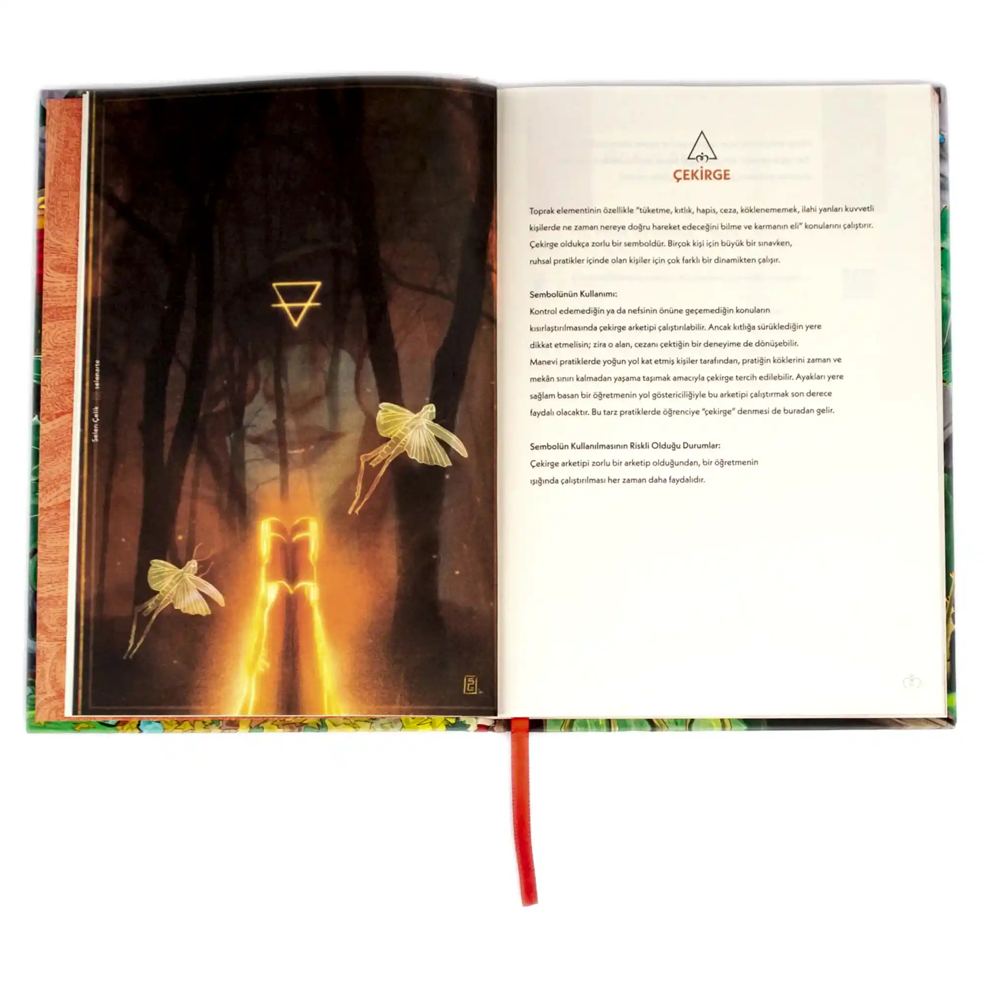 Element Defter: Toprak Defteri - Görsel 2