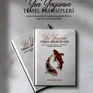 Yin Yoga'nın Temel Prensipleri